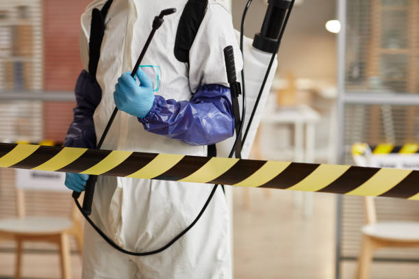 Professional Blood Cleanup technician working in Ormond Beach, FL